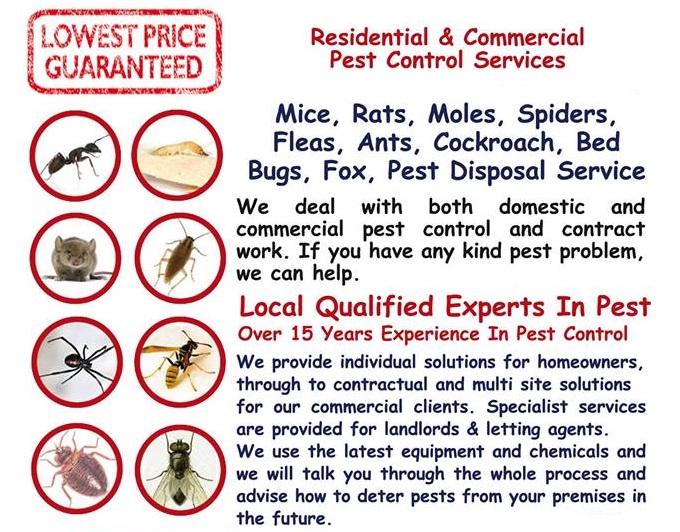 ABOUT PEST KILLER'S UK PEST CONTROL LONDON